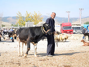 Göksun Hayvan Pazarı Hareketlendi
