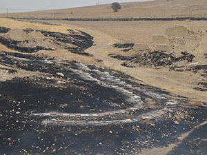 Yangın Arı Kovanlarına Sıçradı