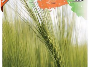 Samsun Tarım Hayvancılık Ve Gıda Teknolojileri Fuarı Açılıyor