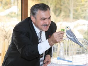 Bakan Eroğlu’ndan 4 Ekim Dünya Hayvanları Koruma Günü Mesajı