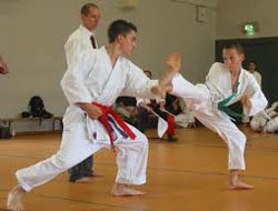 Elbistan’da Karate Kursu