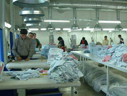 Yatırımlar Ve Şirket Sayısı Arttı 