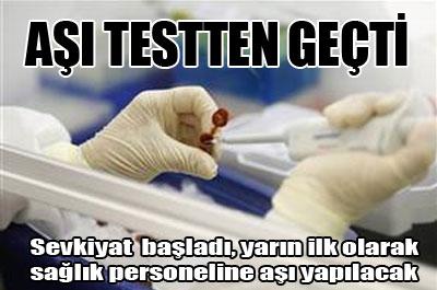 Domuz gribi aşıları testi geçti