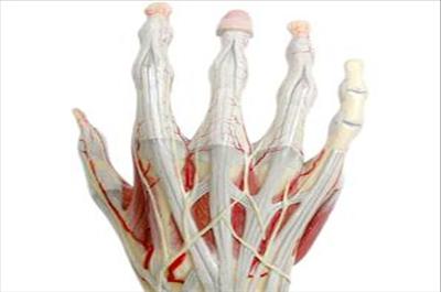 Vücudumuzu anlayabiliyor muyuz?