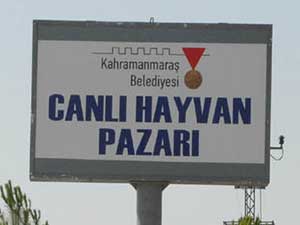 Kurban Satış Ve Kesim Yerleri Belirlendi