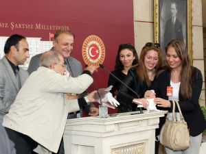 Mhp Grup Başkanvekili Vuraldan Güvercinli Basın Toplantısı