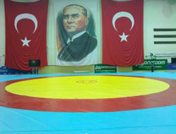 Büyükler Serbest  Güreş Şampiyonası  Başladı