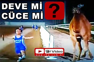 Amerikalıların İlginç Eğlence Anlayışı!