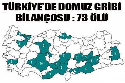 Domuz gribinde ölü sayısı 73 oldu