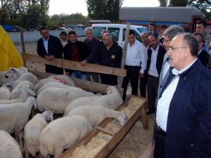 Başbakan Yardımcısı Atalay Kırıkkalede