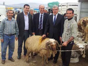 Milletvekili Güvenç kurban pazarını gezdi