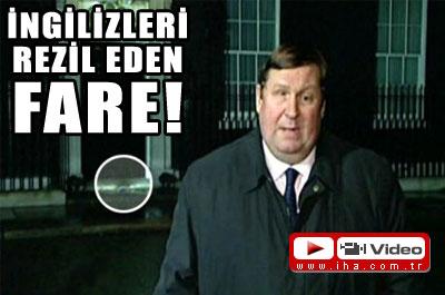 İngilizleri Rezil Eden Fare!
