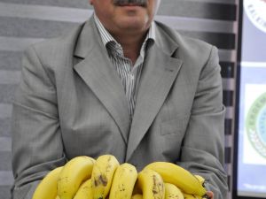 Muzda Birim Alandan Yüksek Verim Hedefleniyor