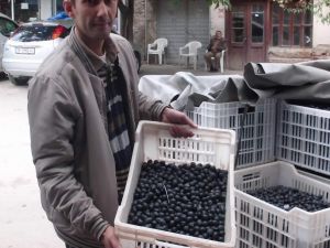 Zeytin Üreticisine İkinci Şok
