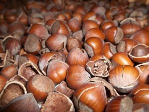 Kabuğu Kendinden 3 Kat Pahalı Ürün