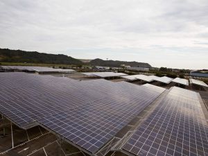 Renault, Otomotivde Dünyanın En Büyük Güneş Enerjisi Sistemini Kuruyor