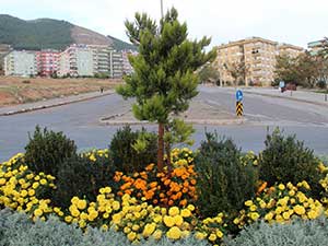 Refüj Ve Kavşaklarda Çevre Düzenlemesi