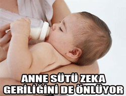 Anne sütü zeka geriliğini de önlüyor