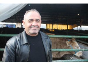 Et Fiyatlarına Yüzde 10 Zam Yolda