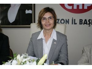 Chp Kadın Kollarının 7 Ayda, 7 Bölge Çalışması Devam Ediyor