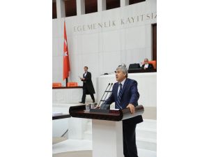 Chp’li Susam, Zeytinyağı İçin ‘kamu Spotu’ İstedi