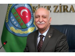 Tavuk Eti Ve Tavuk Yumurtası Üretimi Arttı