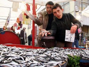 Denizdeki Bereket Hamsiyi 3 Tlye Kadar Düşürdü