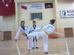 Tekvandocuların Başarısı