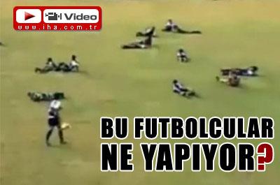 Sahayı Arılar Bastı