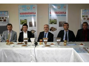 “karabuğday” Piyasaya Çıkmayı Bekliyor