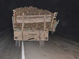 Tır, Pancar Yüklü Traktöre Çarptı