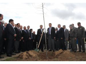 Bakan Eroğlu: “kesilen Ağaçların Yerine En Az 5 Katı Ağaç Dikeceğiz”