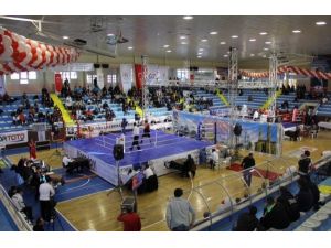 Büyük Erkekler Ferdi Türkiye Boks Şampiyonası