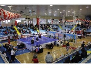 Büyük Erkekler Ferdi Türkiye Boks Şampiyonası