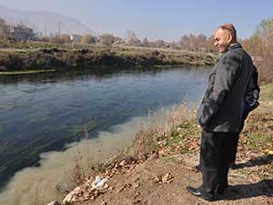Havuzlardaki Balık Ölümleri Araştırılıyor