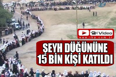 Şeyh düğününde izdiham