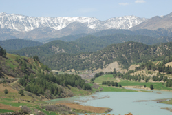 Doğa ve Tarih Projesi