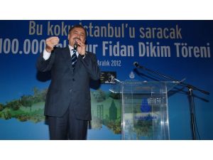 Bakan Veysel Eroğlu, Ihlamur Fidanı Dikti