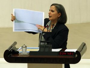 Tbmm 2013 Bütçe Görüşmeleri