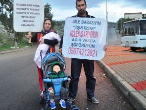 Boynuna Tabela Asıp İş Arıyor