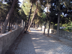 Bari Ölüye Hizmet Edin!...