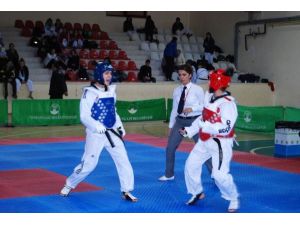 Tekvandonun Kraliçeleri Mudanyayı Salladı