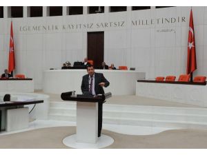 Çevre Politikaları