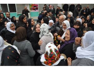 Kışanak, Kck Operasyonları Ve Suriye’deki Gelişmeleri Değerlendirdi