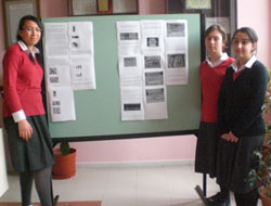 Özel Ali Kenger Projeleri Beğenildi