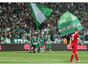 Timsah’ın 2012 Performansı