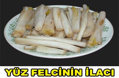 Yüz Felcinin İlacı: Dağ Sakızı