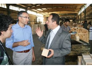 Ahşap Palet Sektörüne İthalat Darbesi