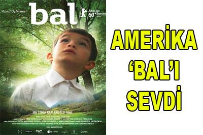 Bal Amerikada övgü topladı