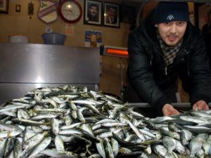 Vatandaş ‘istavrit’ İle Avunuyor